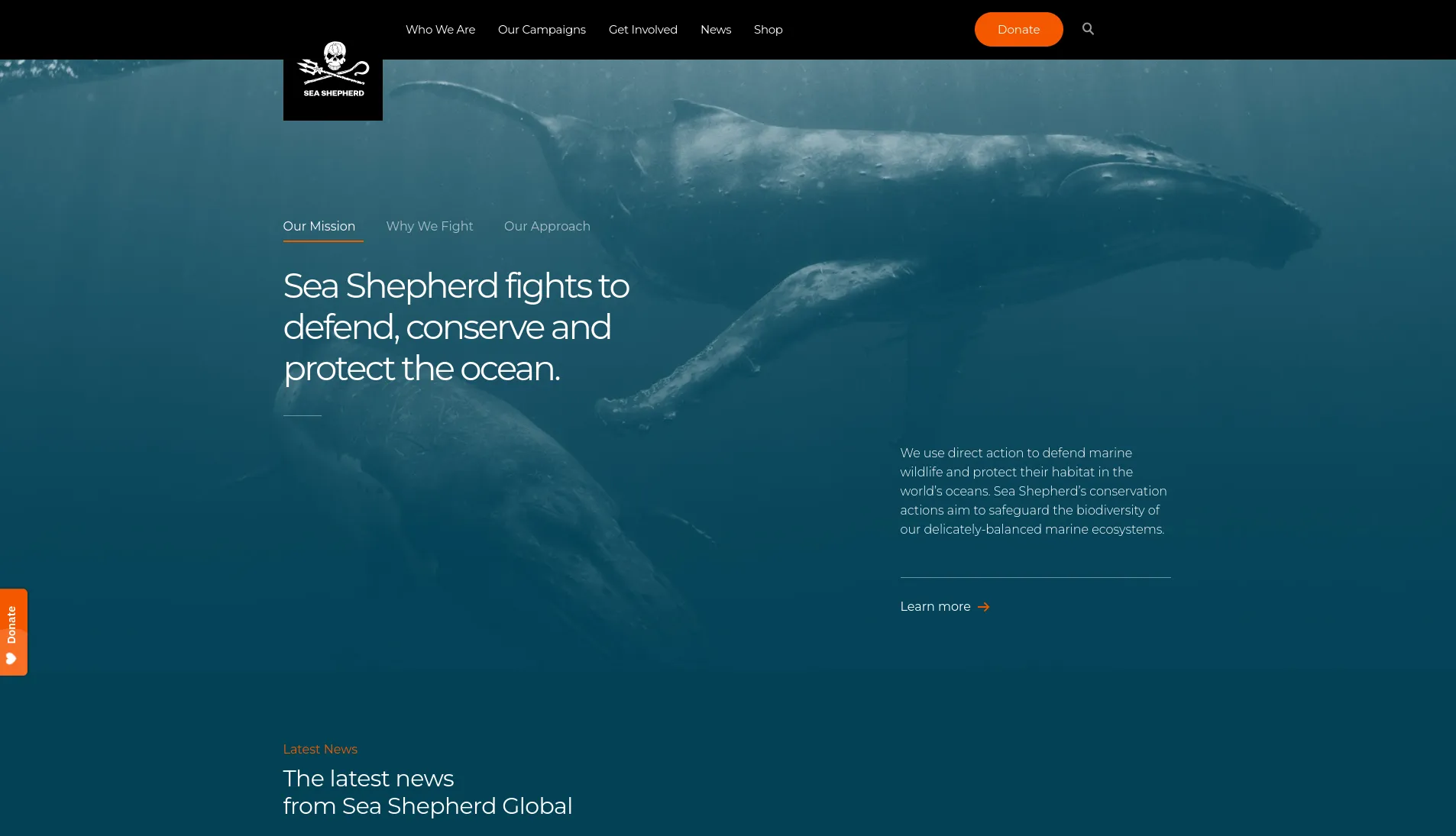 Sea Shepherd website