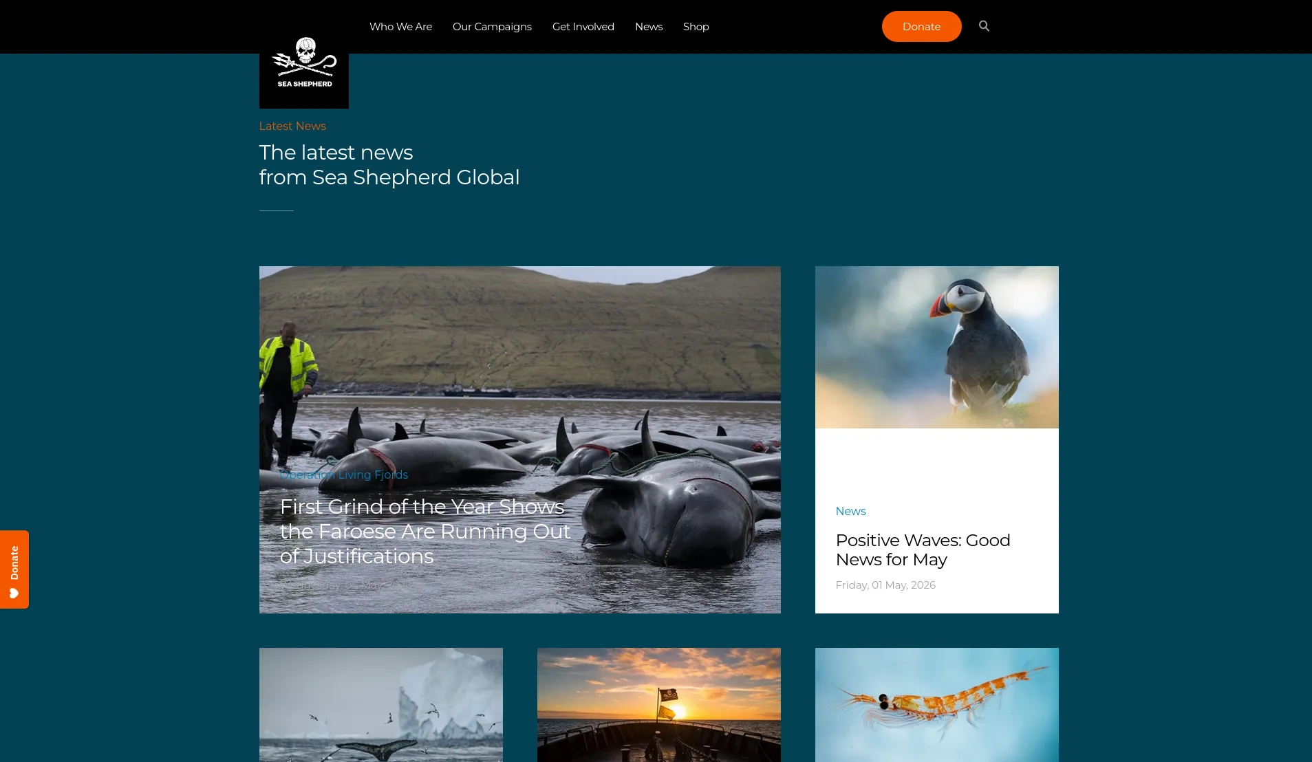 Sea Shepherd latest news