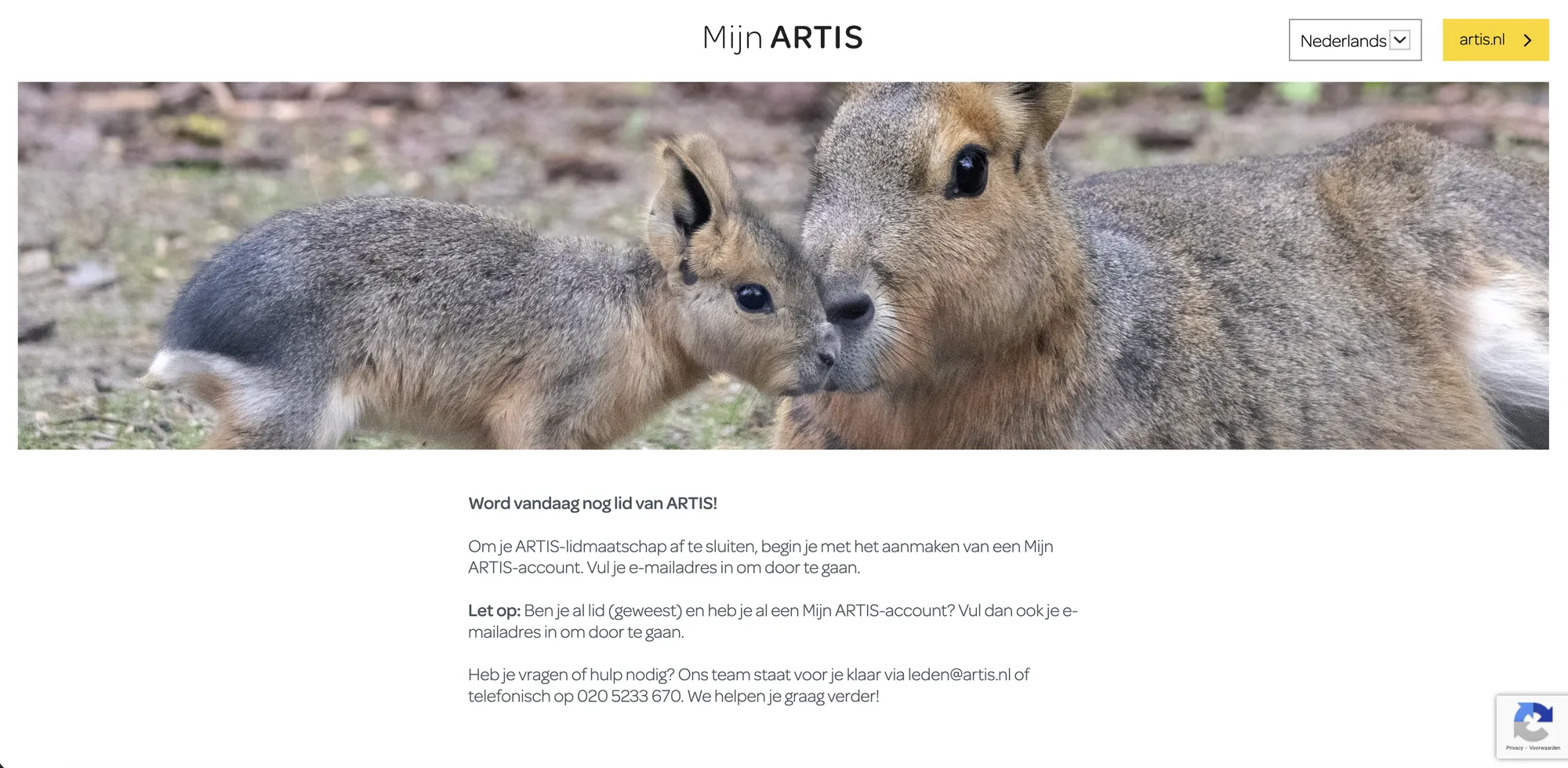 artis